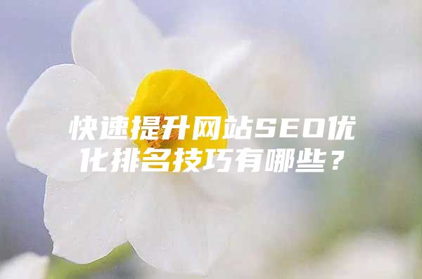 快速提升网站SEO优化排名技巧有哪些？