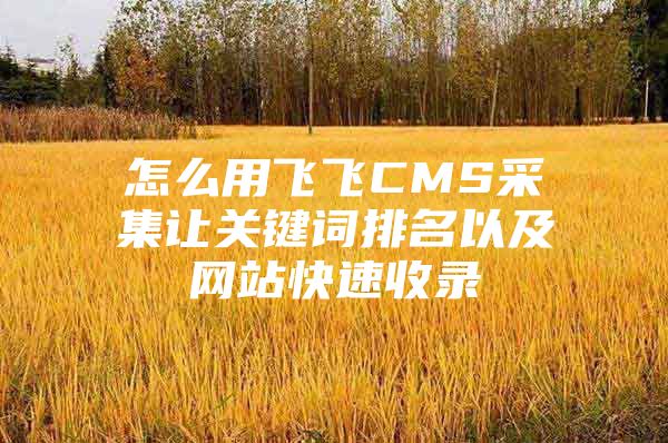 怎么用飞飞CMS采集让关键词排名以及网站快速收录