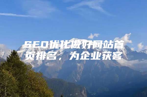 SEO优化做好网站首页排名，为企业获客