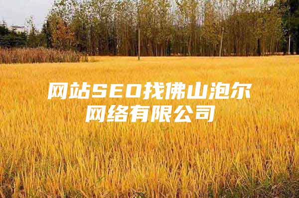 网站SEO找佛山泡尔网络有限公司