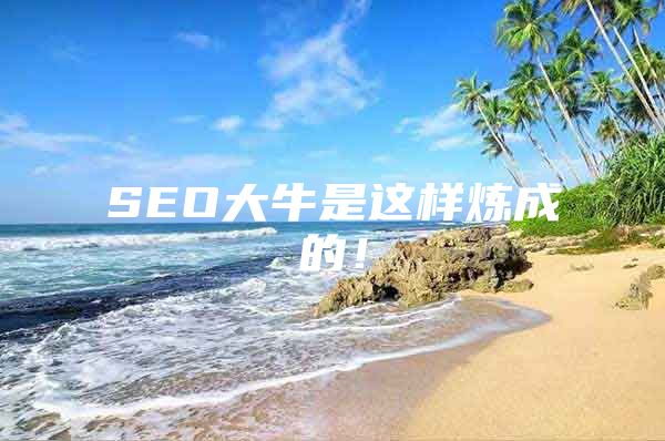 SEO大牛是这样炼成的！