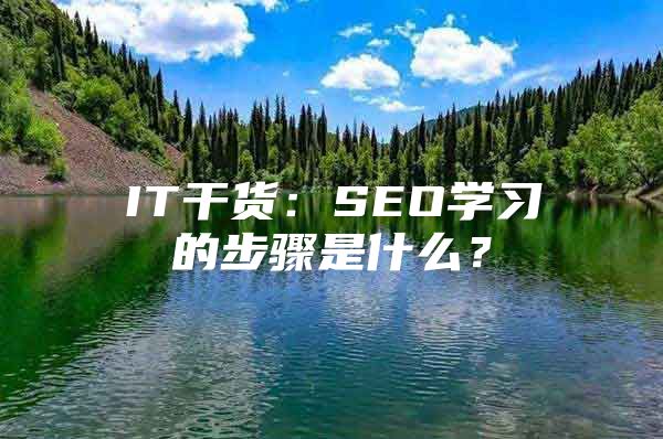 IT干货：SEO学习的步骤是什么？