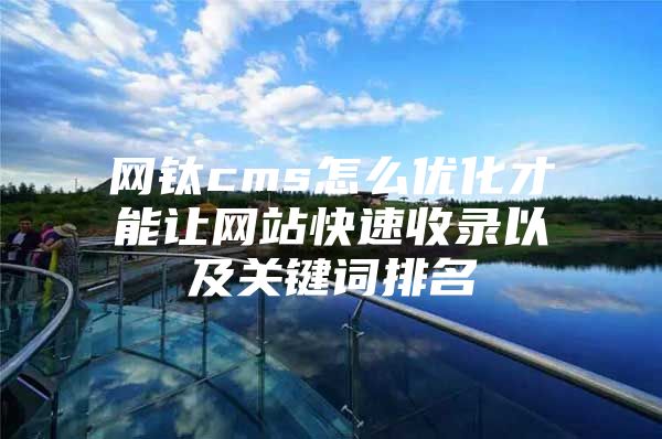 网钛cms怎么优化才能让网站快速收录以及关键词排名