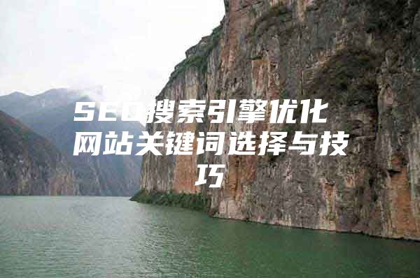 SEO搜索引擎优化 网站关键词选择与技巧