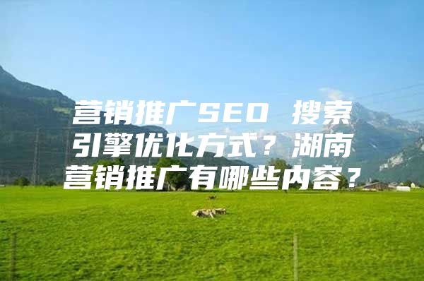 营销推广SEO 搜索引擎优化方式？湖南营销推广有哪些内容？