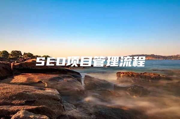 SEO项目管理流程