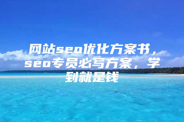 网站seo优化方案书，seo专员必写方案，学到就是钱