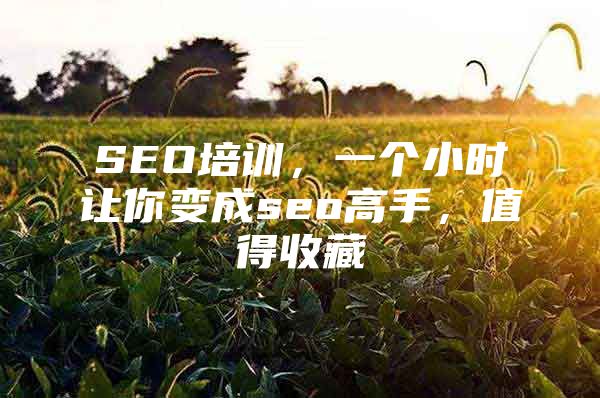 SEO培训，一个小时让你变成seo高手，值得收藏