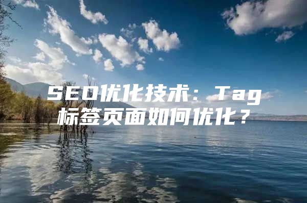 SEO优化技术：Tag标签页面如何优化？