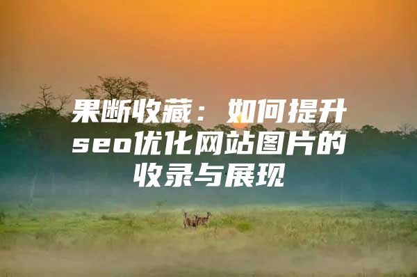 果断收藏：如何提升seo优化网站图片的收录与展现