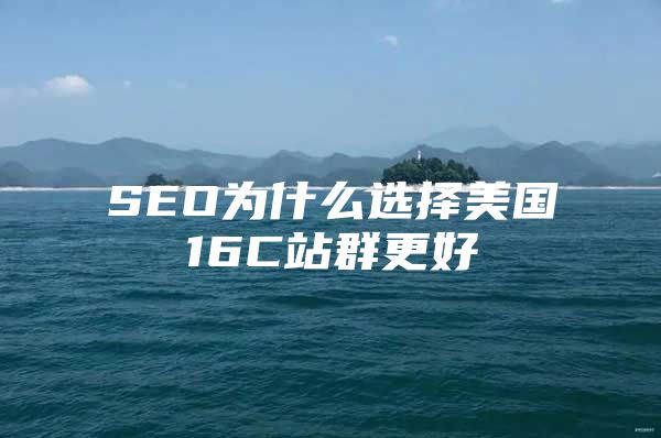 SEO为什么选择美国16C站群更好