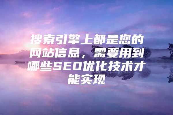 搜索引擎上都是您的网站信息，需要用到哪些SEO优化技术才能实现