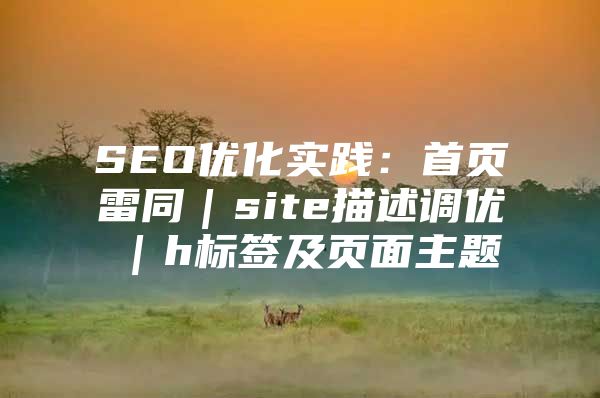 SEO优化实践：首页雷同｜site描述调优｜h标签及页面主题