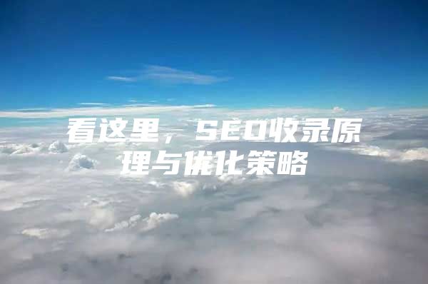 看这里，SEO收录原理与优化策略