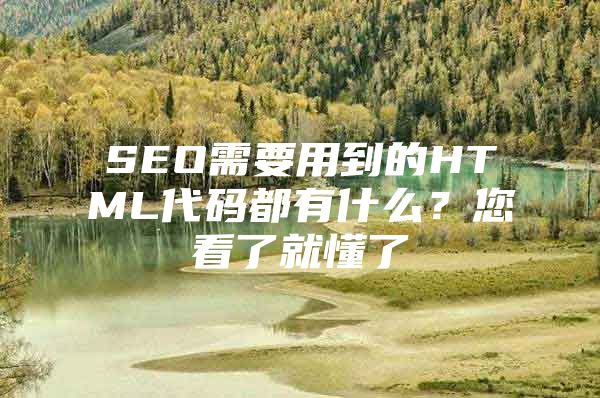 SEO需要用到的HTML代码都有什么？您看了就懂了