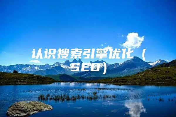 认识搜索引擎优化（SEO）