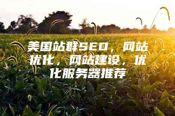 美国站群SEO，网站优化，网站建设，优化服务器推荐