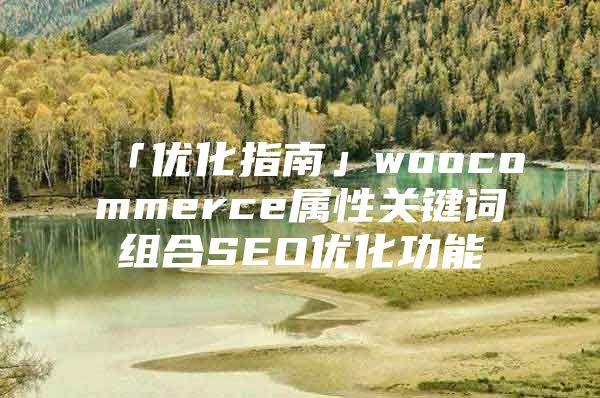 「优化指南」woocommerce属性关键词组合SEO优化功能