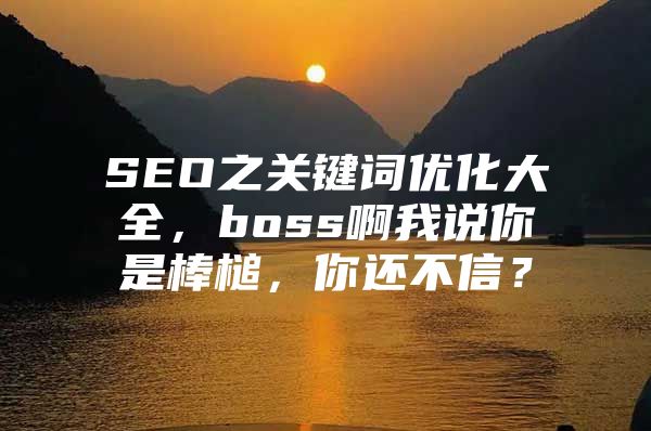 SEO之关键词优化大全，boss啊我说你是棒槌，你还不信？