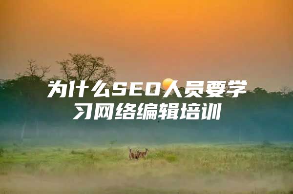 为什么SEO人员要学习网络编辑培训