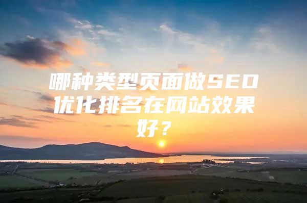 哪种类型页面做SEO优化排名在网站效果好？