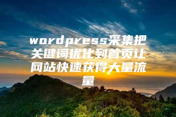 wordpress采集把关键词优化到首页让网站快速获得大量流量