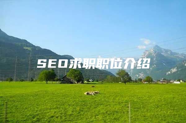 SEO求职职位介绍