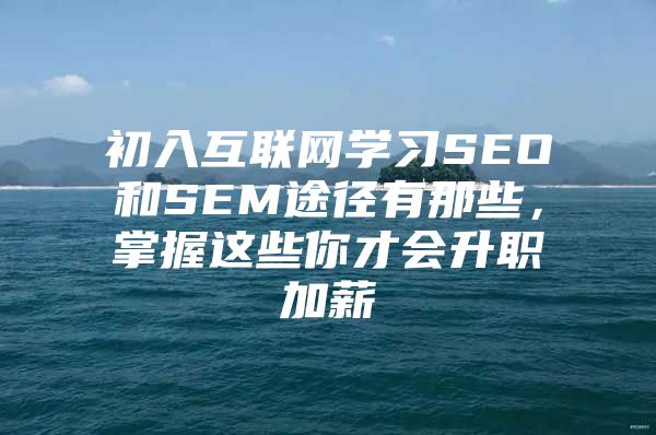 初入互联网学习SEO和SEM途径有那些，掌握这些你才会升职加薪