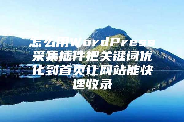 怎么用WordPress采集插件把关键词优化到首页让网站能快速收录