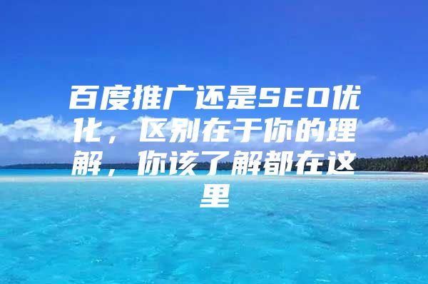 百度推广还是SEO优化，区别在于你的理解，你该了解都在这里