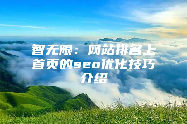 智无限：网站排名上首页的seo优化技巧介绍