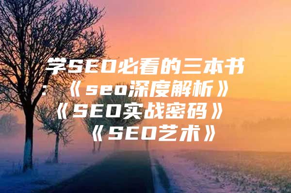 学SEO必看的三本书：《seo深度解析》《SEO实战密码》《SEO艺术》