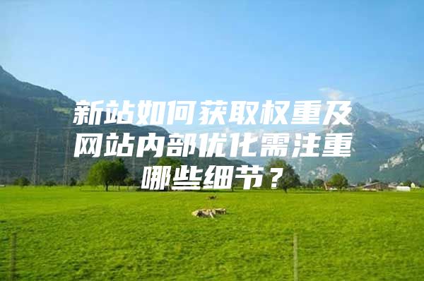 新站如何获取权重及网站内部优化需注重哪些细节？