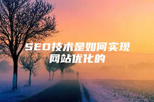 SEO技术是如何实现网站优化的