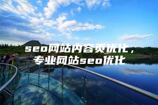 seo网站内容页优化，专业网站seo优化