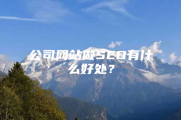 公司网站做SEO有什么好处？