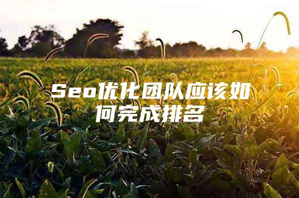 Seo优化团队应该如何完成排名