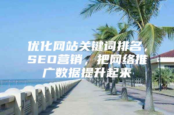 优化网站关键词排名，SEO营销，把网络推广数据提升起来