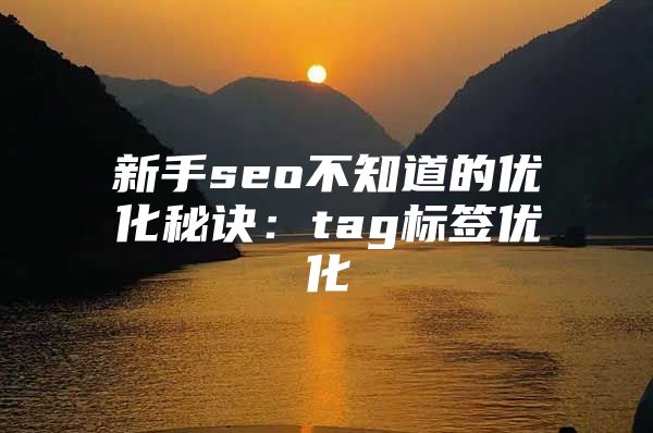 新手seo不知道的优化秘诀：tag标签优化