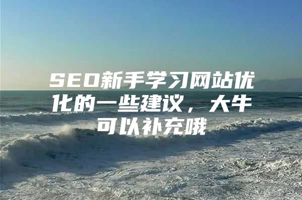 SEO新手学习网站优化的一些建议，大牛可以补充哦