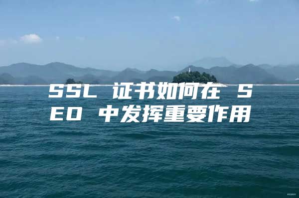 SSL 证书如何在 SEO 中发挥重要作用