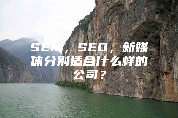 SEM，SEO，新媒体分别适合什么样的公司？