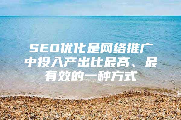 SEO优化是网络推广中投入产出比最高、最有效的一种方式