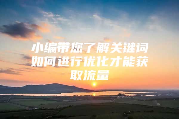 小编带您了解关键词如何进行优化才能获取流量