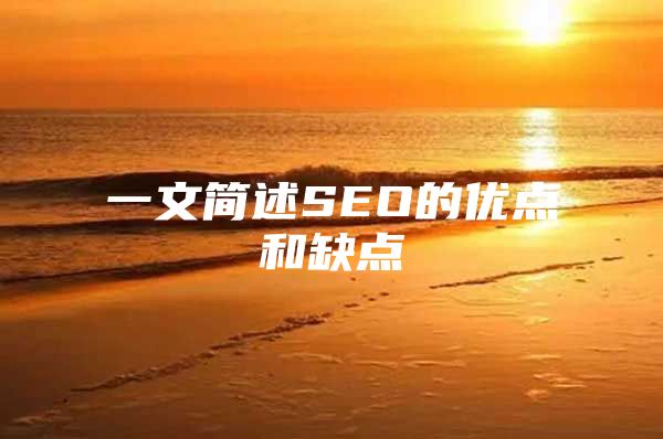 一文简述SEO的优点和缺点