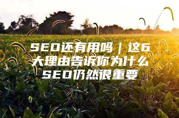 SEO还有用吗｜这6大理由告诉你为什么SEO仍然很重要