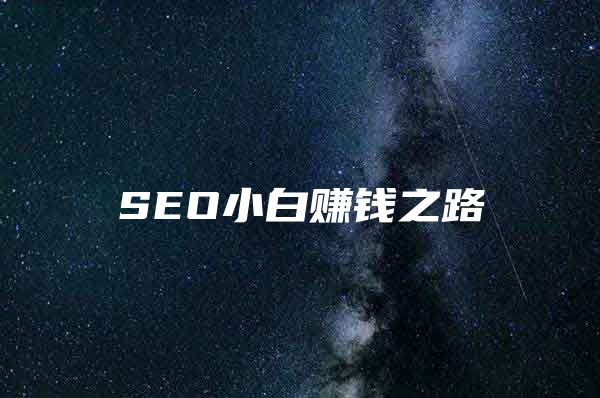 SEO小白赚钱之路