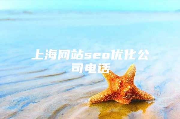 上海网站seo优化公司电话