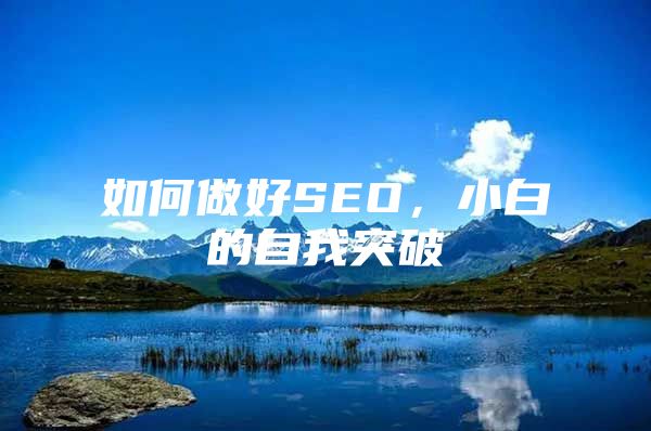 如何做好SEO，小白的自我突破