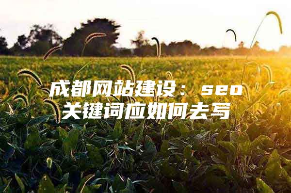 成都网站建设：seo关键词应如何去写